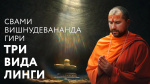 04.07.2019 Сатсанг "Три вида Линги"