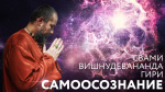 30.03.2020 Сатсанг "Самоосознание"