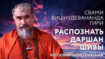 29.03.2024 Сатсанг "Распознать даршан Шивы"