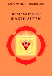 Практики раздела Шакти-янтры